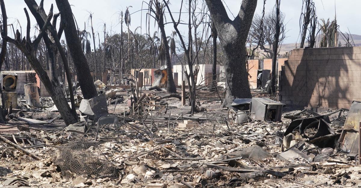 maui wildfires death toll bodies families huddled together