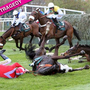 //grand national steeple chase