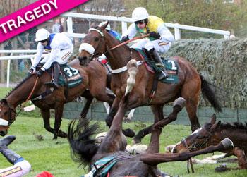 //grand national steeple chase