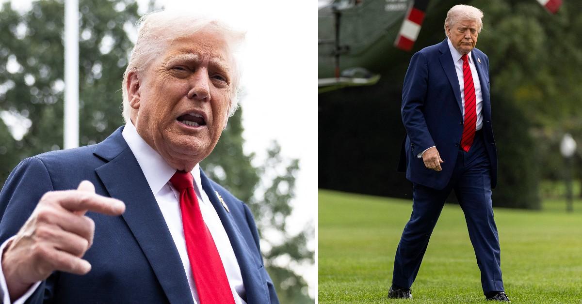 donald trump
