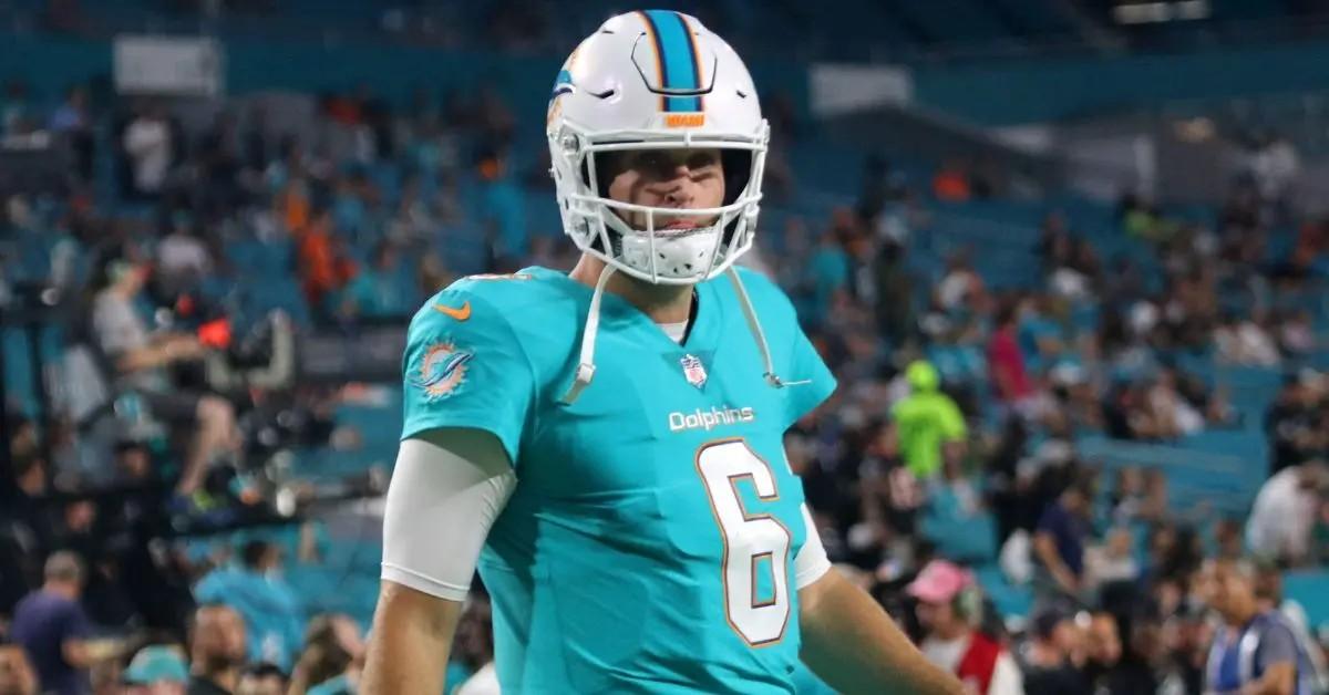 jay cutler on the dolphins