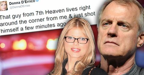 //stephen collins donna derrico tweet