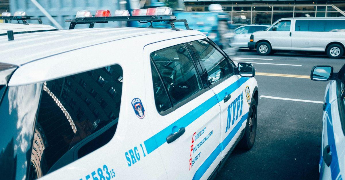 A New York woman was arrested after 200 animals and her elderly mother were found in a filthy Hell House.