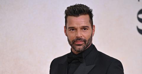 ricky martin files million lawsuit against nephew pp