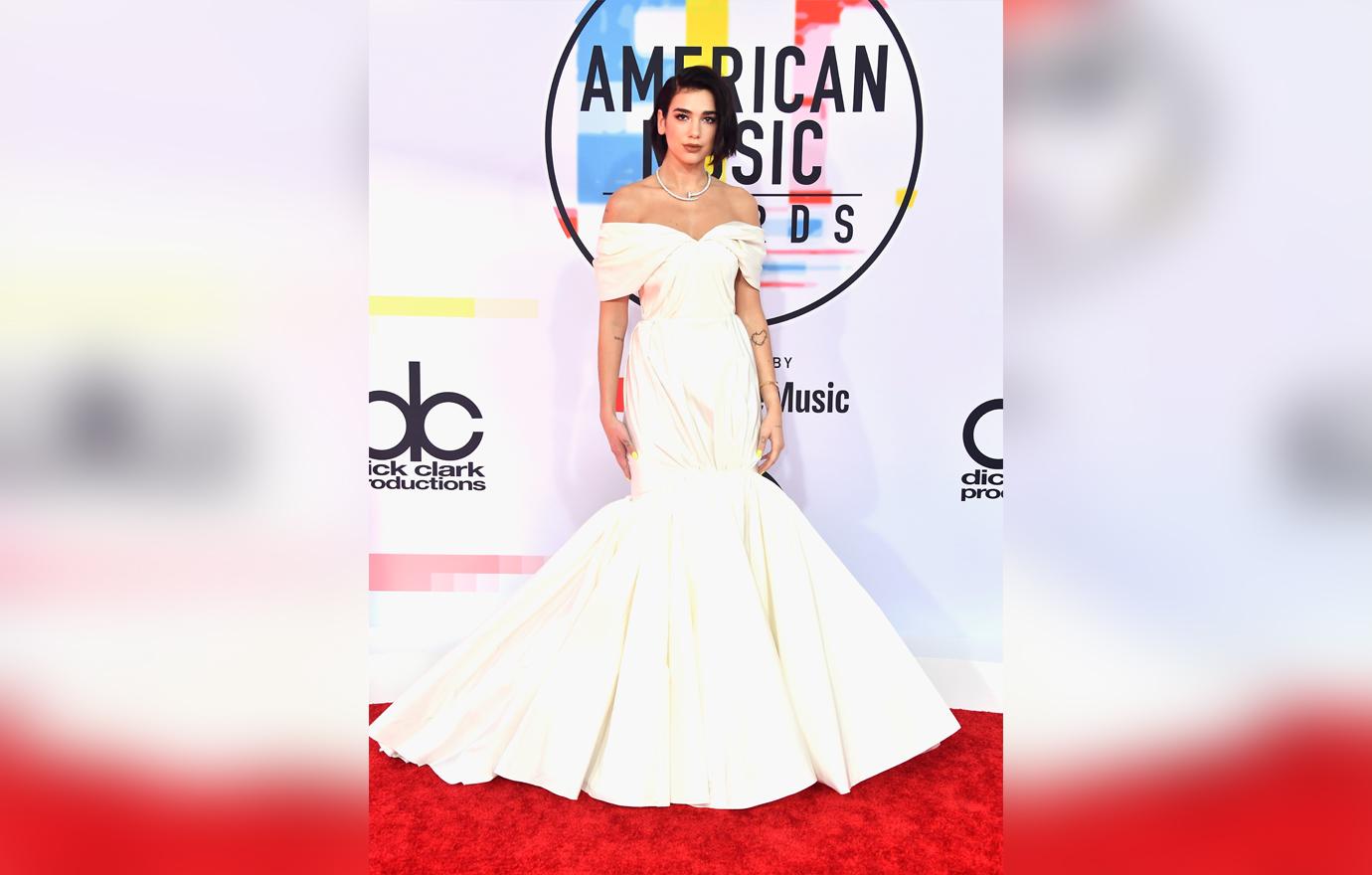 American Music Awards Red Carpet Celebrity Arrivals