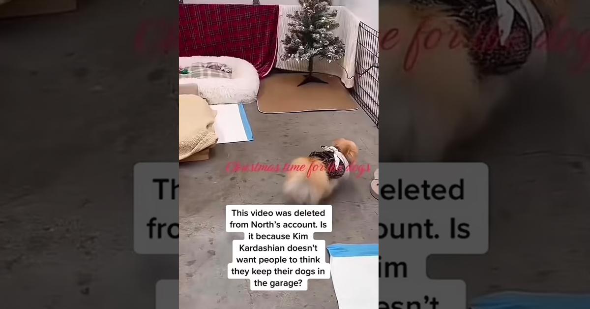 kim kardashian slammed dogs garage video