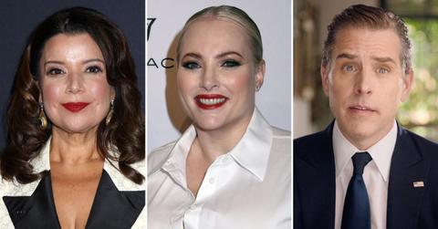 the view ana navarro meghan mccain influence peddling hunter biden