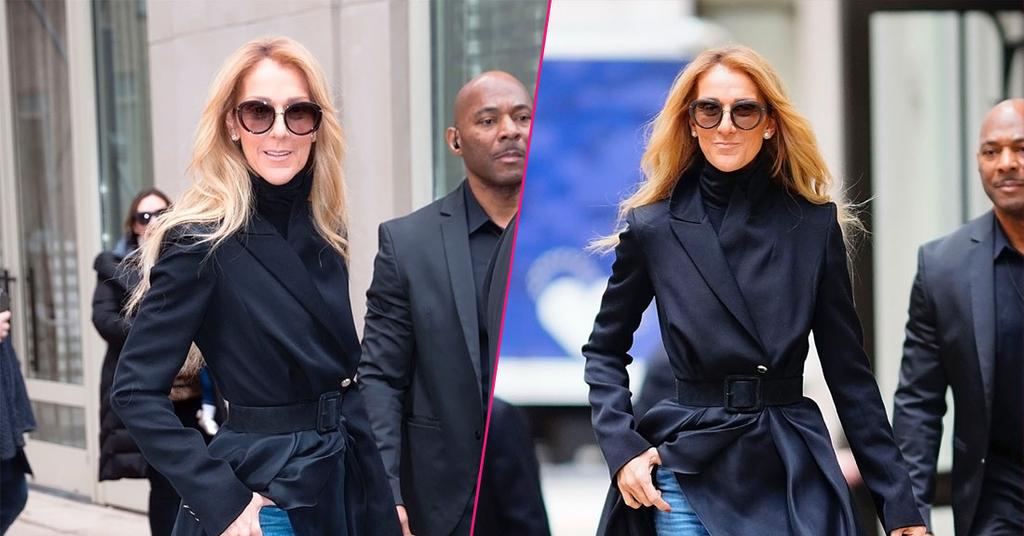 Celine Dion Looks Scary Skinny In New York