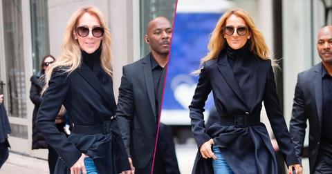 Celine Dion Looks Scary Skinny In New York