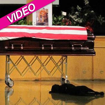 Loyal Dog Remains At Dead Navy SEAL's Casket