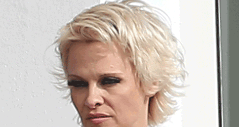 //pp_square_pamelaanderson