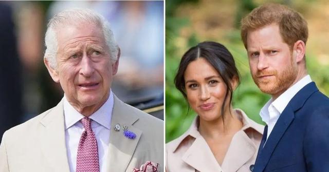 king charles trashed prince harry meghan markle netflix doc