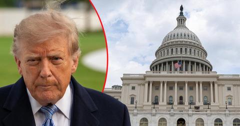Photo of Donald Trump
