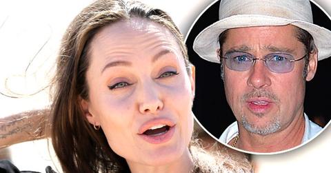 //brad pitt angelina jolie divorce joint custody monitored visitation pp