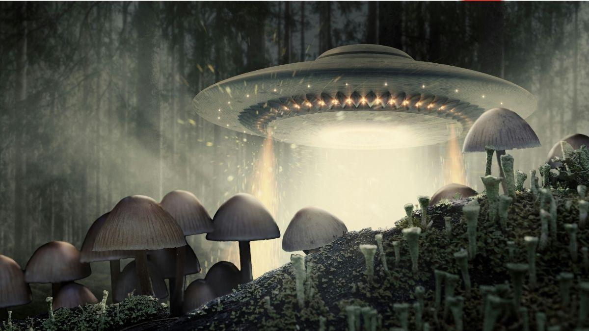 Dr. Eric Davis claimed recovered UFO life forms are categorized as Grays, Nordics, Insectoids and Reptilians.