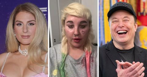Composite photo of Meghan Trainor, Amanda Byes, Elon Musk