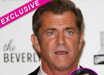 //mel gibson laura bellizzi baby party splash