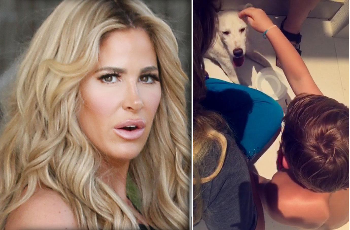 //kim zolciak son kash biermann dog bite turks caicos vacation update pp