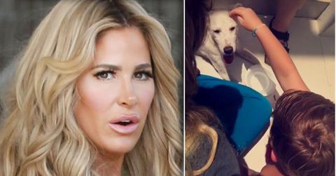 //kim zolciak son kash biermann dog bite turks caicos vacation update pp