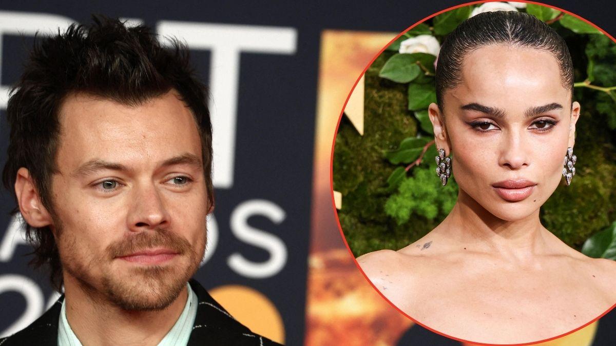 Sources claimed Styles' inner circle fears the singer and Kravitz are making major relationship decisions while caught up in an 'intense love bubble.'