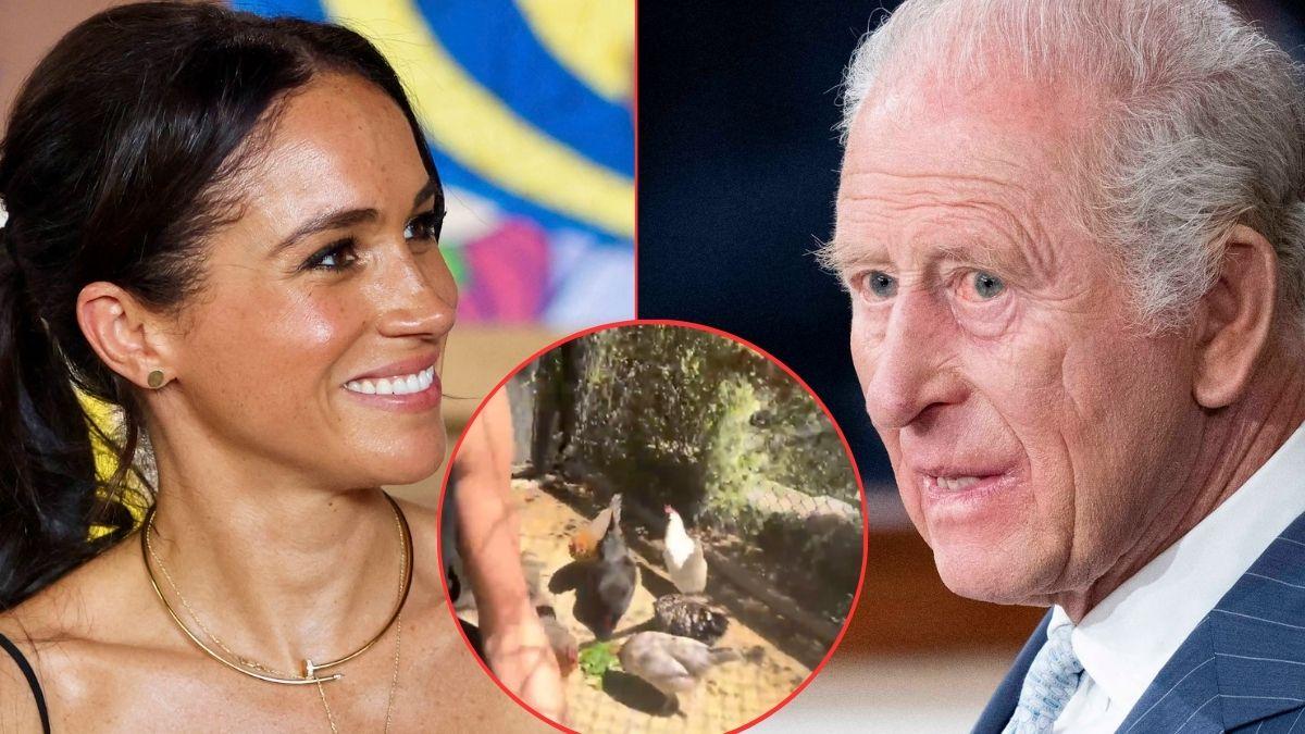 Photo of Meghan Markle and King Charles