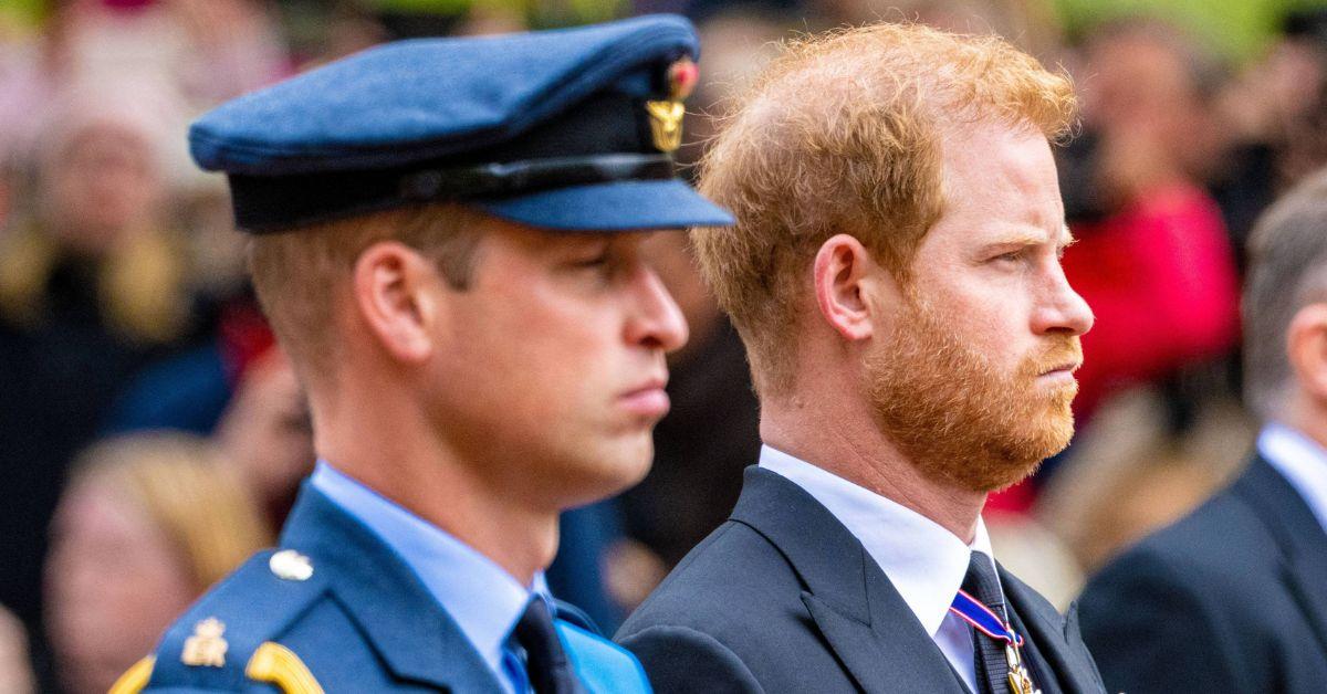 Photo of Prince William and Harry