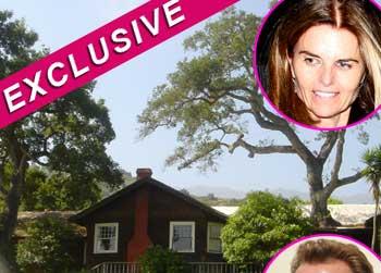 //pp_carpinterialisting