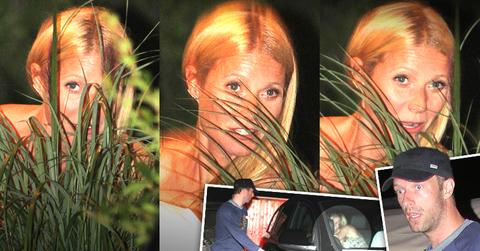 //gwyneth paltrow chris martin hiding movie pp sl