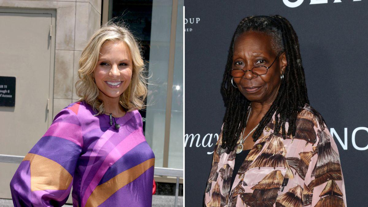 Insiders claimed Hasselbeck's guest role on 'The View' may be part of a strategy involving Goldberg.