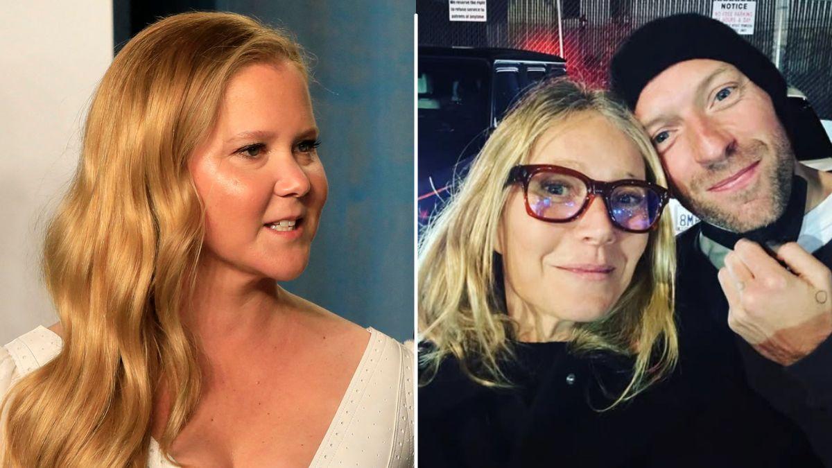 Sources said Gwyneth Paltrow and Chris Martin are a model Schumer hopes to follow in her split from Fischer.