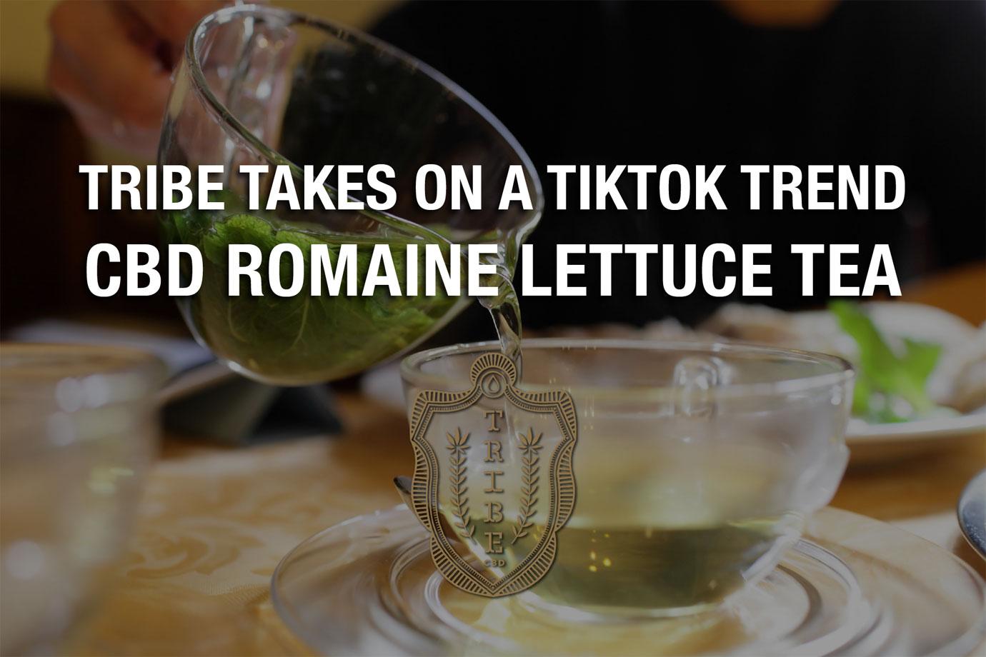 tribe takes on a tiktok trend cbd romaine lettuce tea