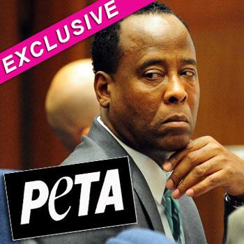 //conrad murray peta splash news