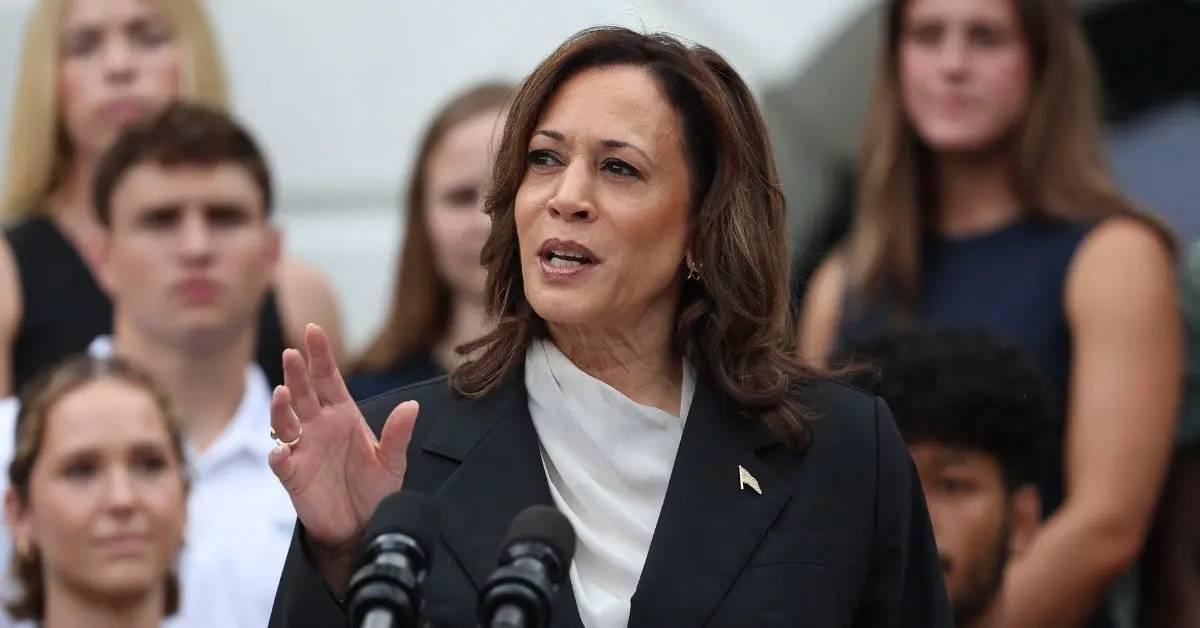 cnn slammed shameless hour kamala harris propaganda