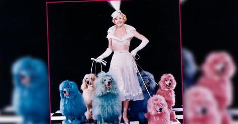 Doris Day Comforted By Her Three Rescue Dogs On Her Deathbed