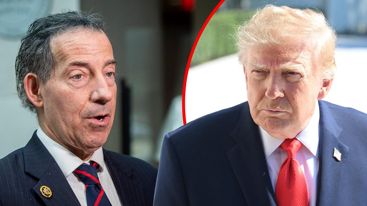Democratic Rep. Jamie Raskin has accused the Justice Department of covering up accusations President Trump sexually assaulted a minor.