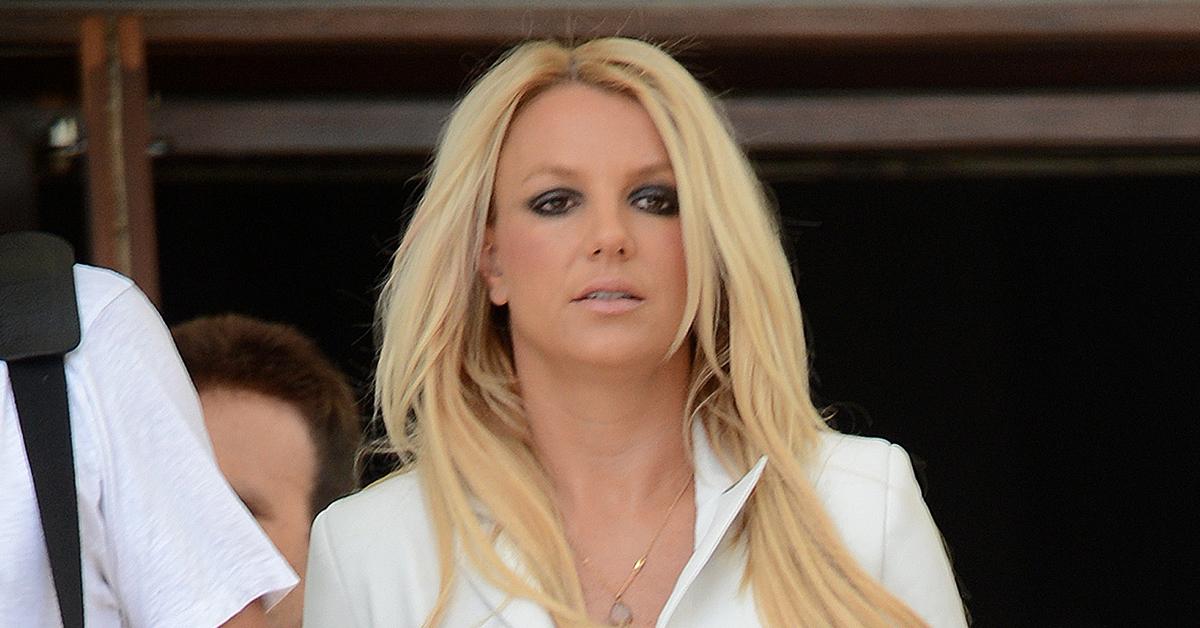 britney spears dogs taken removed housekeeper neglect battery investigation