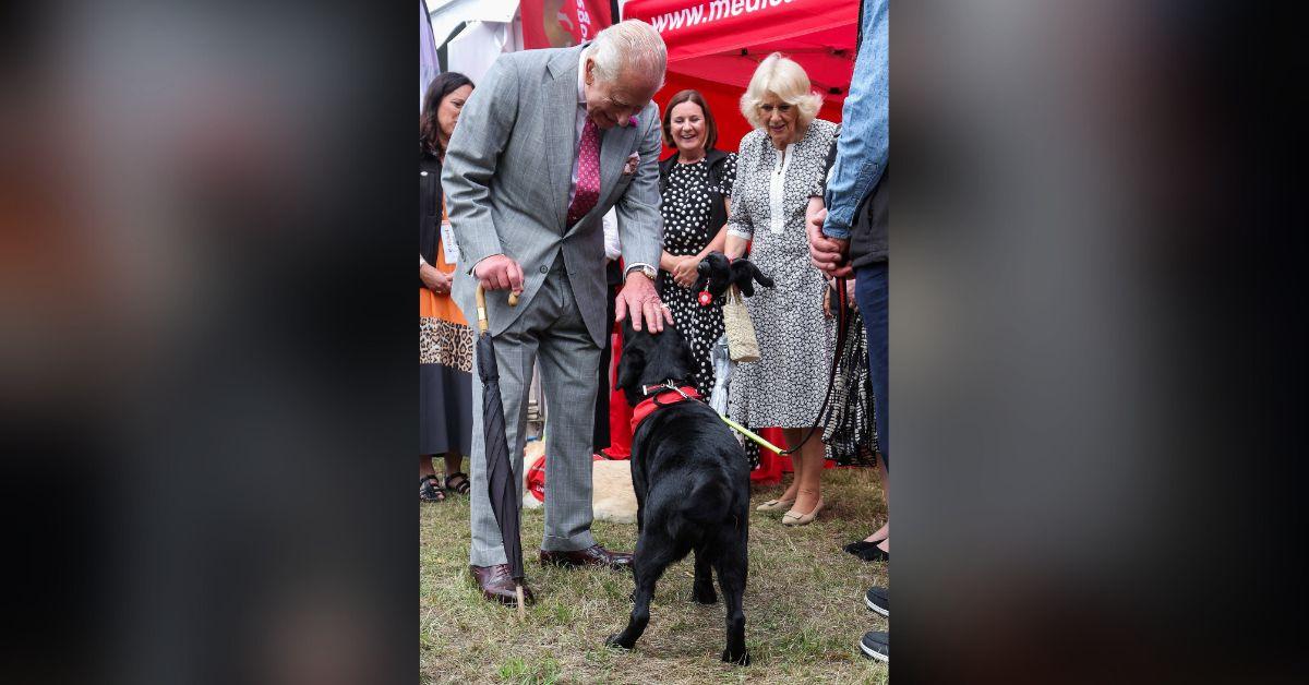 Photo of King Charles and Queen Camilla