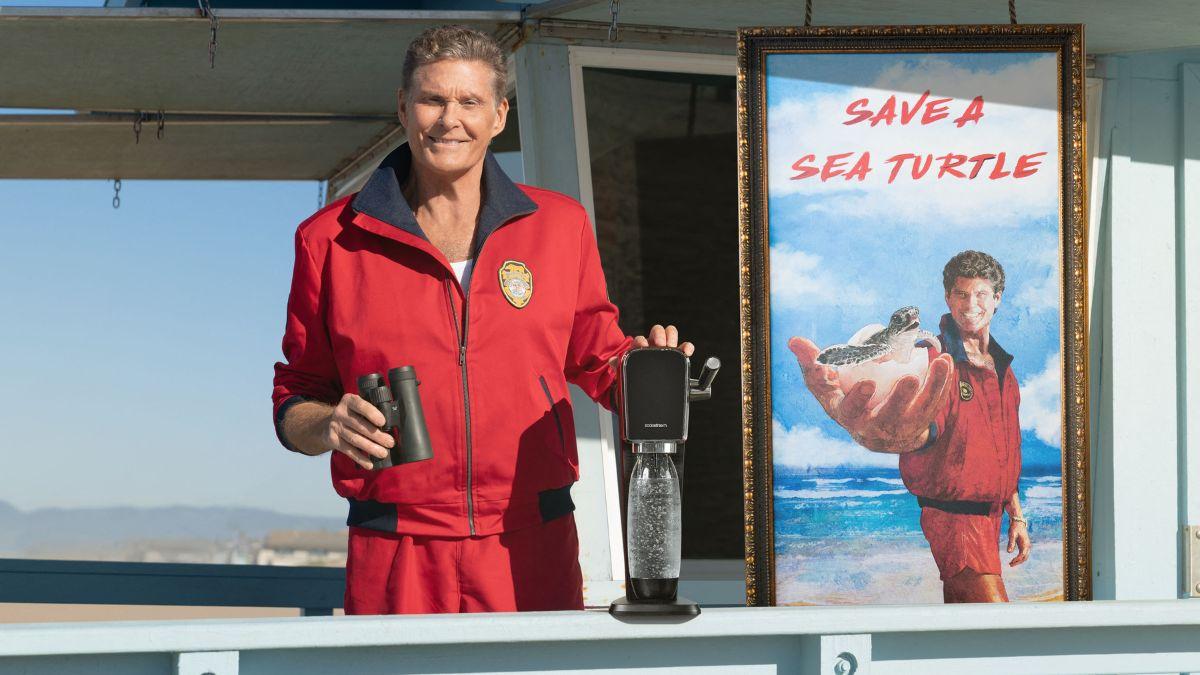 Photo of David Hasselhoff