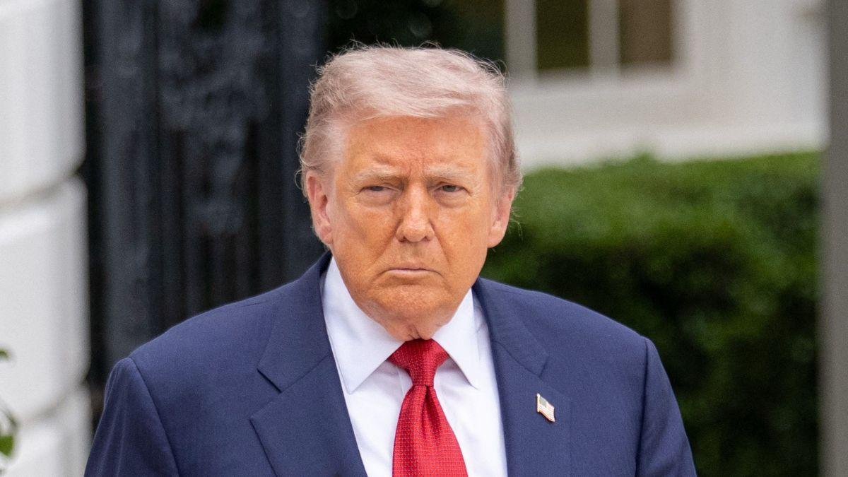 picture of donald trump