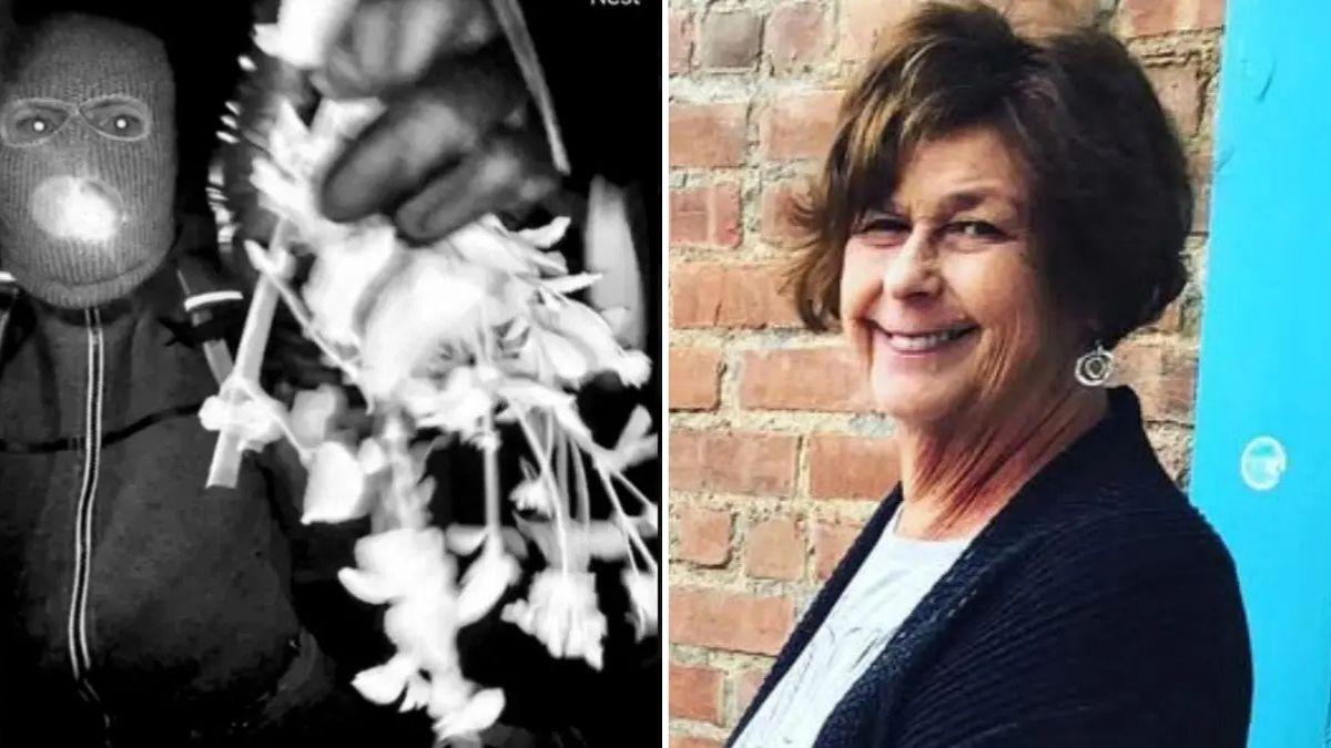 photo of nancy guthrie