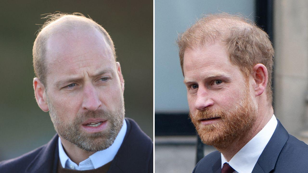 picture of Prince William and Prince Harry