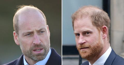 picture of Prince William and Prince Harry