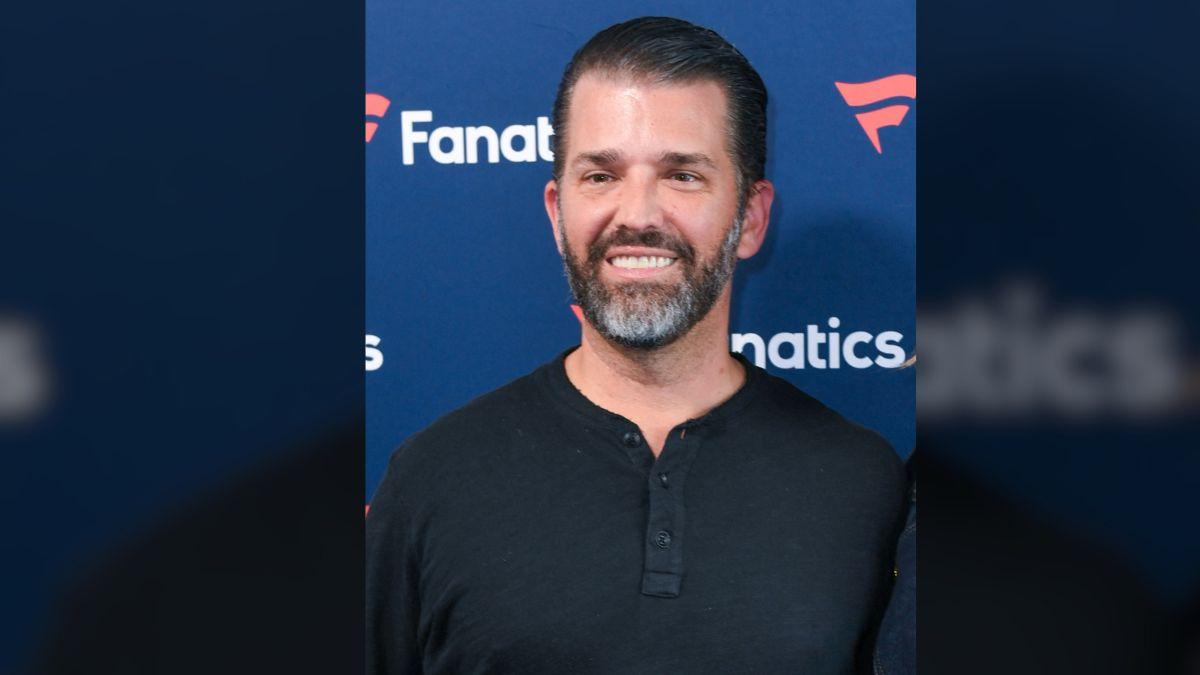 Donald Trump Jr. is allegedly considering public office as part of a major career reset.