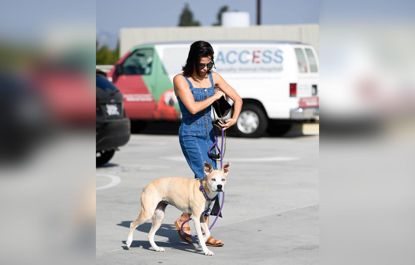 Jenna Dewan Takes Dog To The Vet