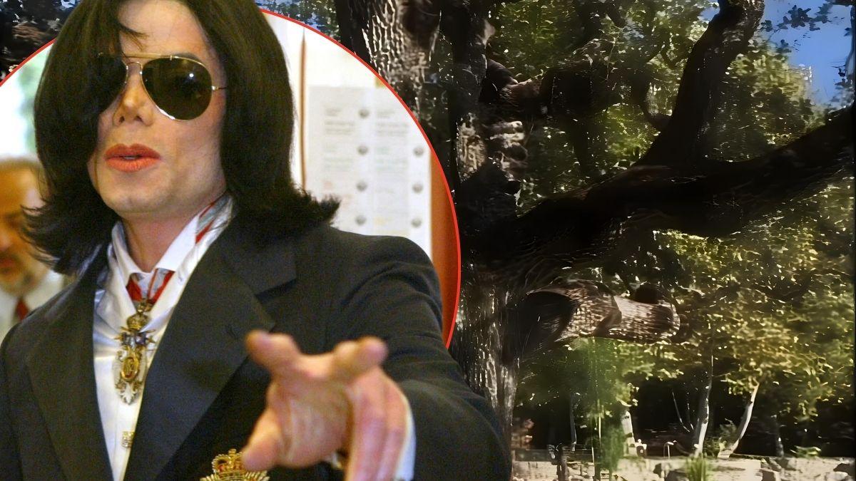 Photo of Michael Jackson and the Giving tree