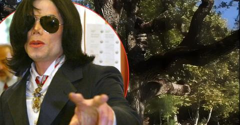 Photo of Michael Jackson and the Giving tree