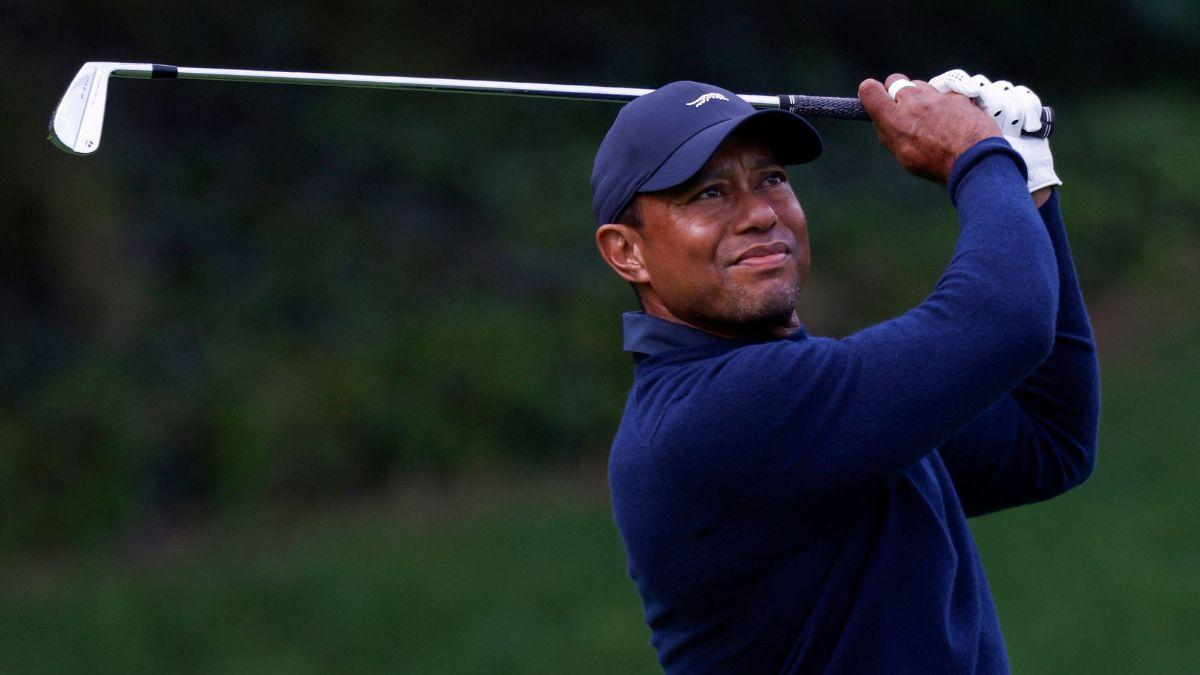 picture of tiger woods