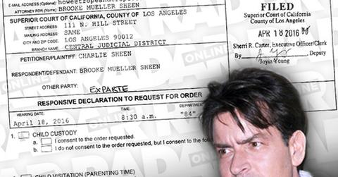 Brooke Mueller Charlie Sheen Child support case accusations