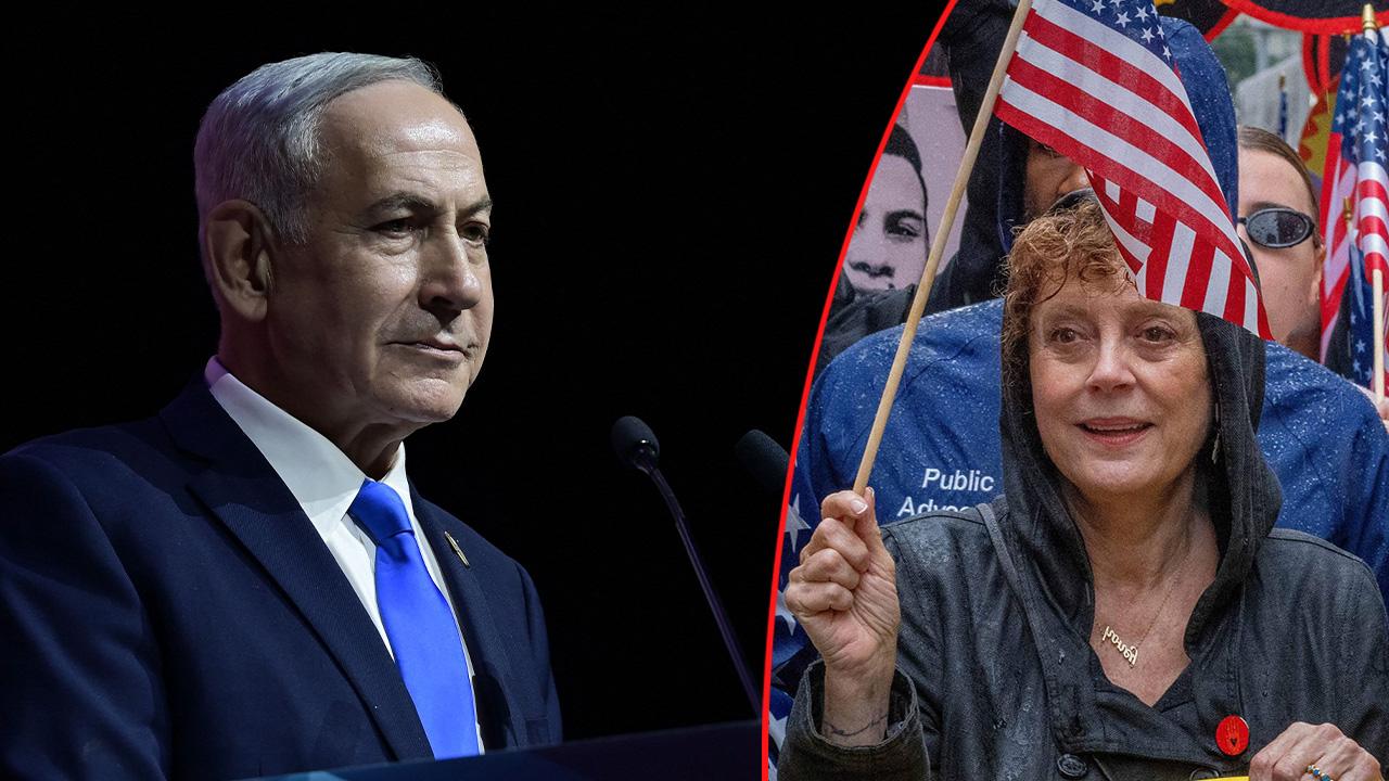 Susan Sarandon was among a group of protestors detained outside the UN.