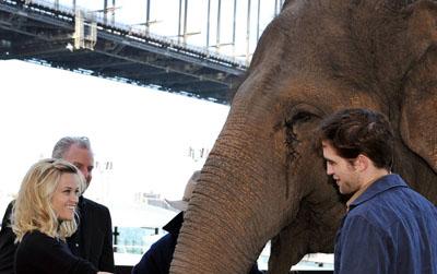 //water_for_elephants__wenn_ _